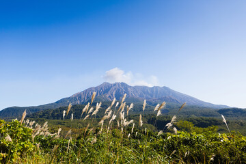 恐竜公園から見る秋晴れの桜島	
