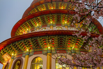 Night view of the pink cherry tree blossom in Tianyuan Place