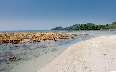 sandy beach in the morning