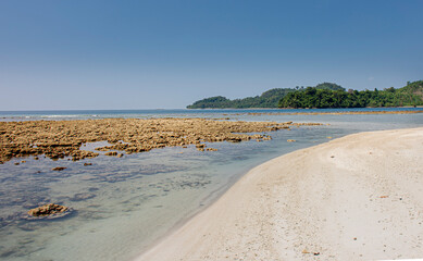 sandy beach in the morning