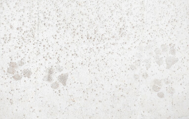 Cement floor with dog footprints.