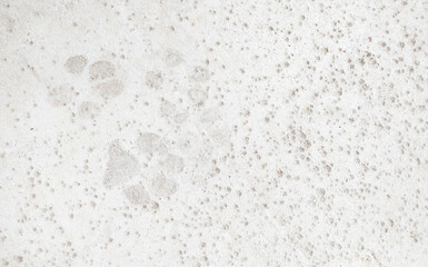 Cement floor with dog footprints.