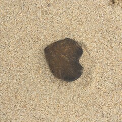 해변 모래사장 위에 하트 모양의 돌 / A heart-shaped stone on the beach.