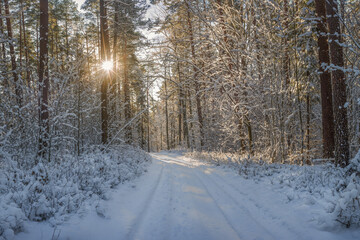 Zima w północno-wschodniej Polsce na Mazurach