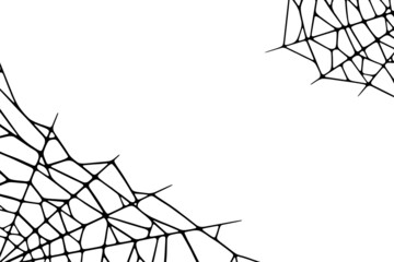 Spider web corners on white background. Spooky Halloween cobweb. Handrawn vector illustration