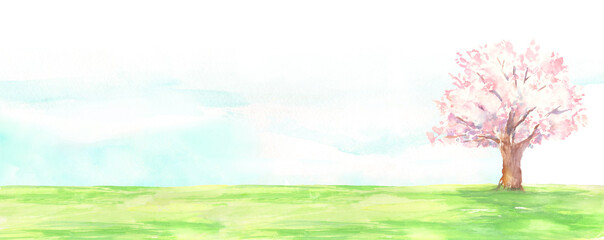 水彩で描いた桜の木と芝生の風景