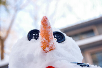 Snowman with an orange nose