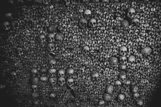Human skulls and bones. Human remains. Morbid art. Dark tourism.