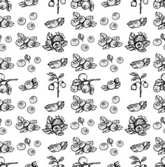 blueberry seamless pattern vector sketch. blueberry sketch. blueberry seamless pattern hand drawing. blueberry seamless pattern vector doodle. vector eps art