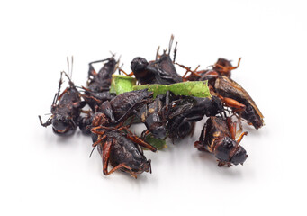 Fried insects. Fried crickets with grasshopper and kaffir lime leaves isolated on white background