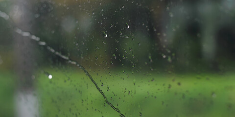 Raindrops flowing down window glass on summer rainy cloudy day, blurry green trees in background. Selective focus