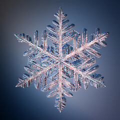 snowflake natural crystal single isolate, transparent abstract photo background