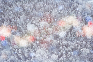 trees forest frost top view background, abstract drone view nature seasonal winter spruce