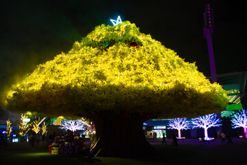 東京都大井競馬場のイルミネーション　光と遊ぶ大樹