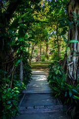 Fototapeta na wymiar Private Jungle Resort in Chiant Mai, Thailand