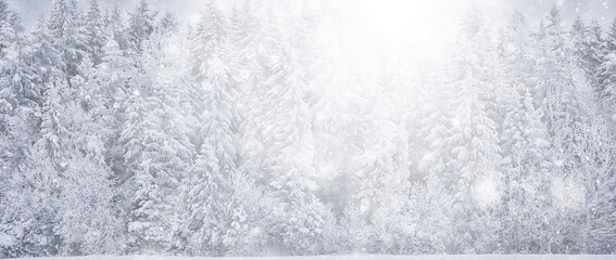 winter background snowfall trees abstract blurred white