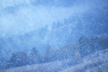 Obraz premium winter background snowfall trees abstract blurred white