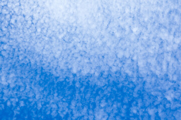 Obraz premium Sky background with many small clouds.