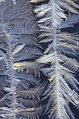 frost patterns on window glass, abstract background winter rime snow