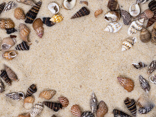 Fototapeta na wymiar Frame made of seashells on sand background
