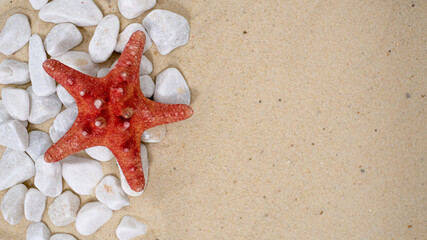 Fototapeta na wymiar red starfish near stones with sand place for text