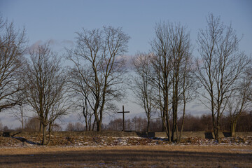 Fototapeta na wymiar Cross and trees in the field