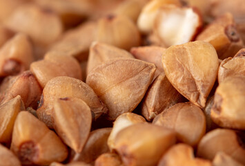 Close-up of buckwheat groats as background.