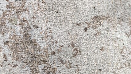 Natural wood pattern, used as a background