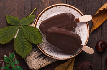 Composition with chocolate chestnut  ice cream on a stick