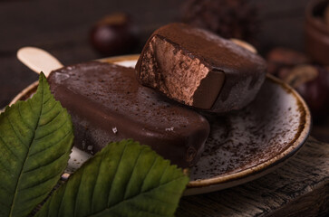Composition with chocolate chestnut  ice cream on a stick