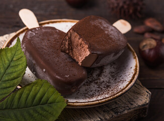 Composition with chocolate chestnut  ice cream on a stick