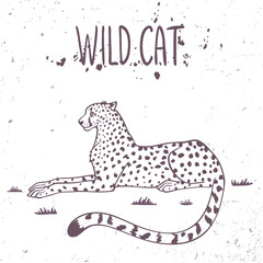 leopard
