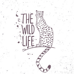 Fototapeta premium leopard