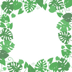Exotic plants, monstera leaves, philodendron, creepers, botany, flora. Square botanical frame, space for text. Vector illustration. Graphic design template.