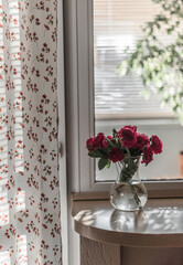 A bouquet of garden roses in a vase with water on a window sill against the background of a window and a loggia with a Benjamin ficus, a curtain in a small flower.