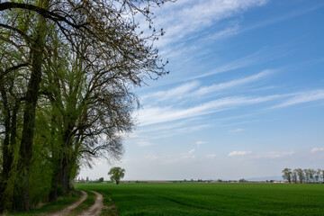 Obraz premium Cloud images with rain clouds and storm clouds in the landscape