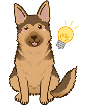 ジャーマンシェパード Images Browse 101 Stock Photos Vectors And Video Adobe Stock