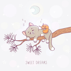 cat sleeps on a branch