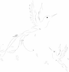 A sketch of two humming birds.