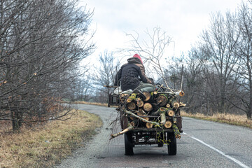 Cart with tree logs, rural landscape, back view.