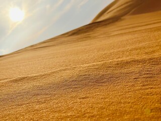 Fototapeta premium sand dunes in the desert