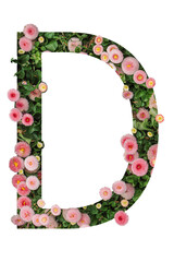Letter D made of real natural flowers and leaves. Flower font concept. Unique collection of letters and numbers. Spring, summer and valentines creative idea