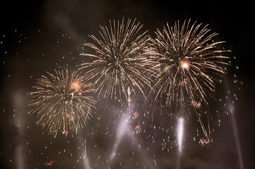 professional fireworks. night photography. details.