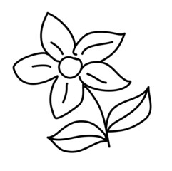 Field flower isolated on white. Vector illustration