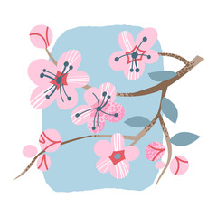 Japanese sakura, cherry tree branch with blooming flowers in Japan, cute pink blossoms