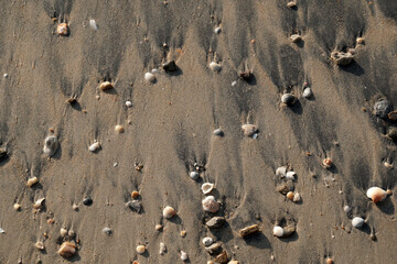 Black sand beach with shell at Nang Thong Beach at Khao Lak Phang nga Thailand - Black nature abstract background 