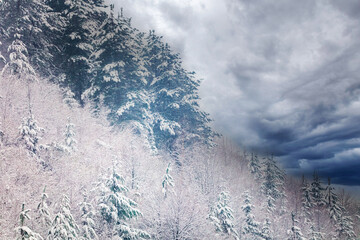 a storm on the slopes of Trebević Mountain near Sarajevo