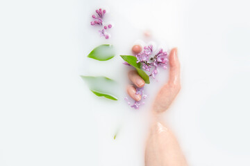 Obraz na płótnie Canvas The palms of a girl with a sprig of lilac in a bath with milk. The concept of purity, tenderness, freshness, youth. Lilac flowers. Copy space, flat lay. Skin care.