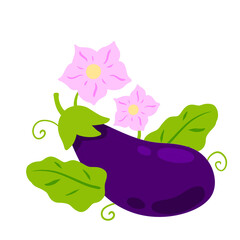 Eggplant. Pink flowers and stem with green tendrils. Flowering of vegetable.