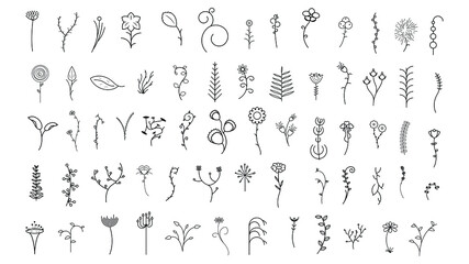 Abstract Set Doodle Elements Hand Drawn Collection Botanic Herbal Flora Leaf Branch Vine Flower Plant Elements F Vector Desgin Style
